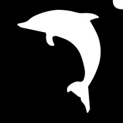 Stencil - Dolphin Solo
